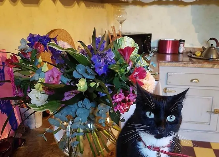 Bed & Breakfast Chez Louise