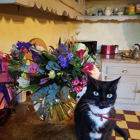 Bed & Breakfast Chez Louise